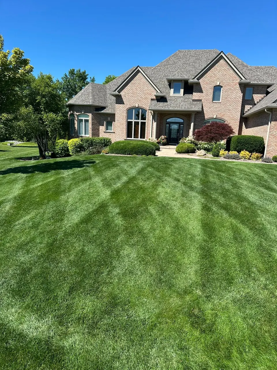 The front lawn of a large brick home cut in even stripes, with clipped shrubs along the foundation