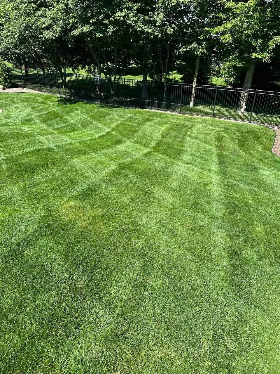 A deep green lawn in broad sweeping stripes, bordered by a black metal fence and mature trees