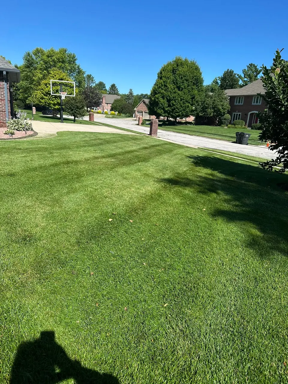 A front lawn cut in stripes running toward the street, with the photographer's shadow falling across the foreground
