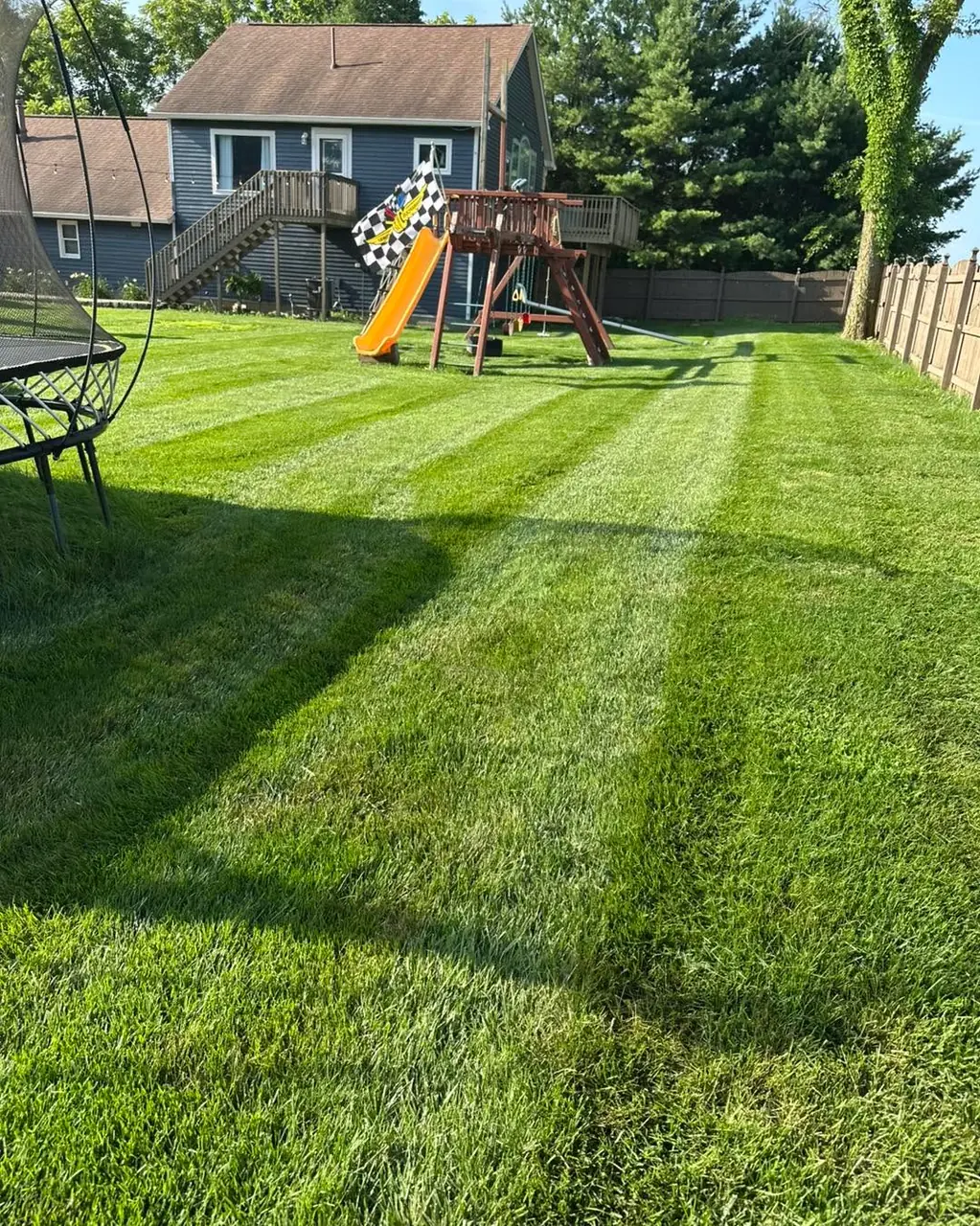 A back lawn mown in stripes around a wooden playset, enclosed by a timber privacy fence