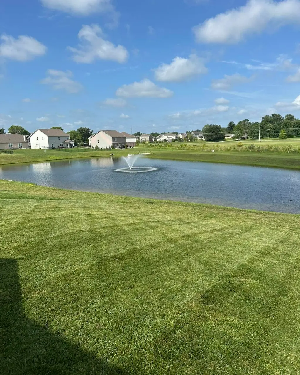A striped lawn running down to a neighbourhood pond with a fountain, houses along the far bank