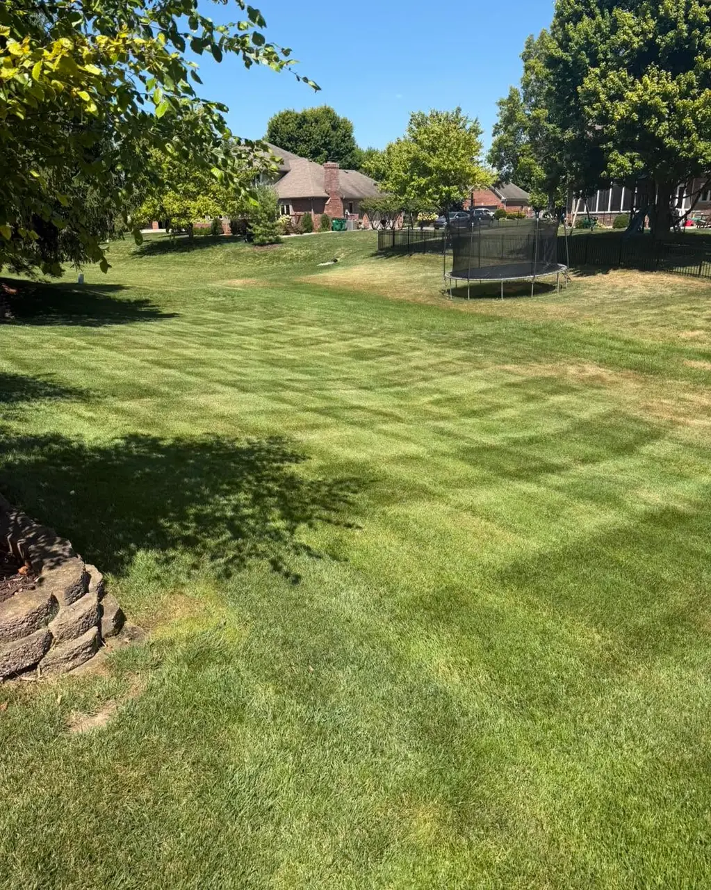 A striped back lawn with a low stone retaining wall in the foreground and a trampoline near the tree line