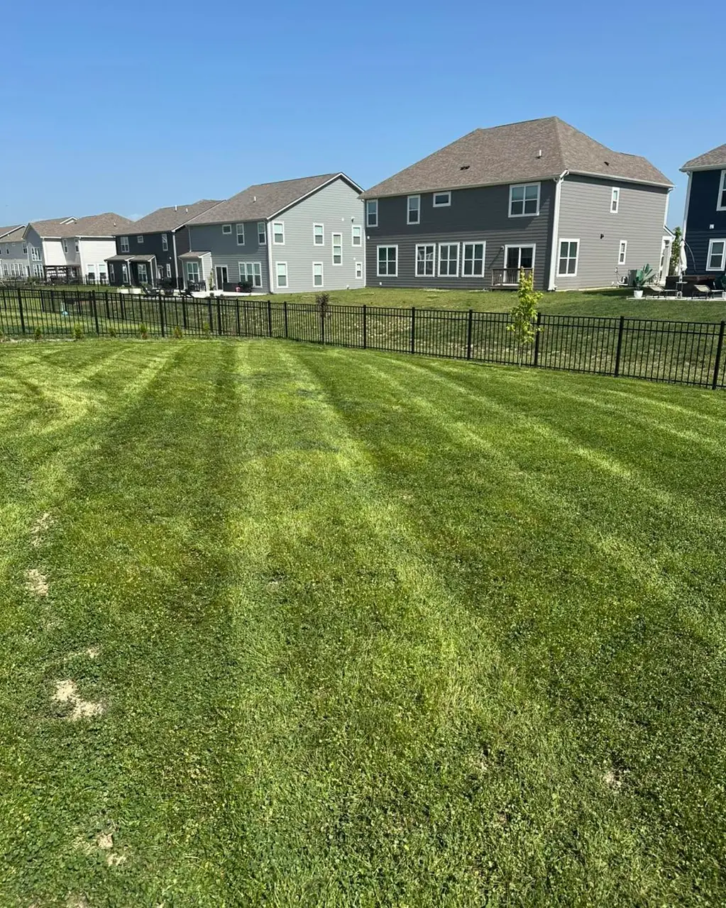 A striped back lawn behind a black metal fence, backing onto a row of newly built two storey houses