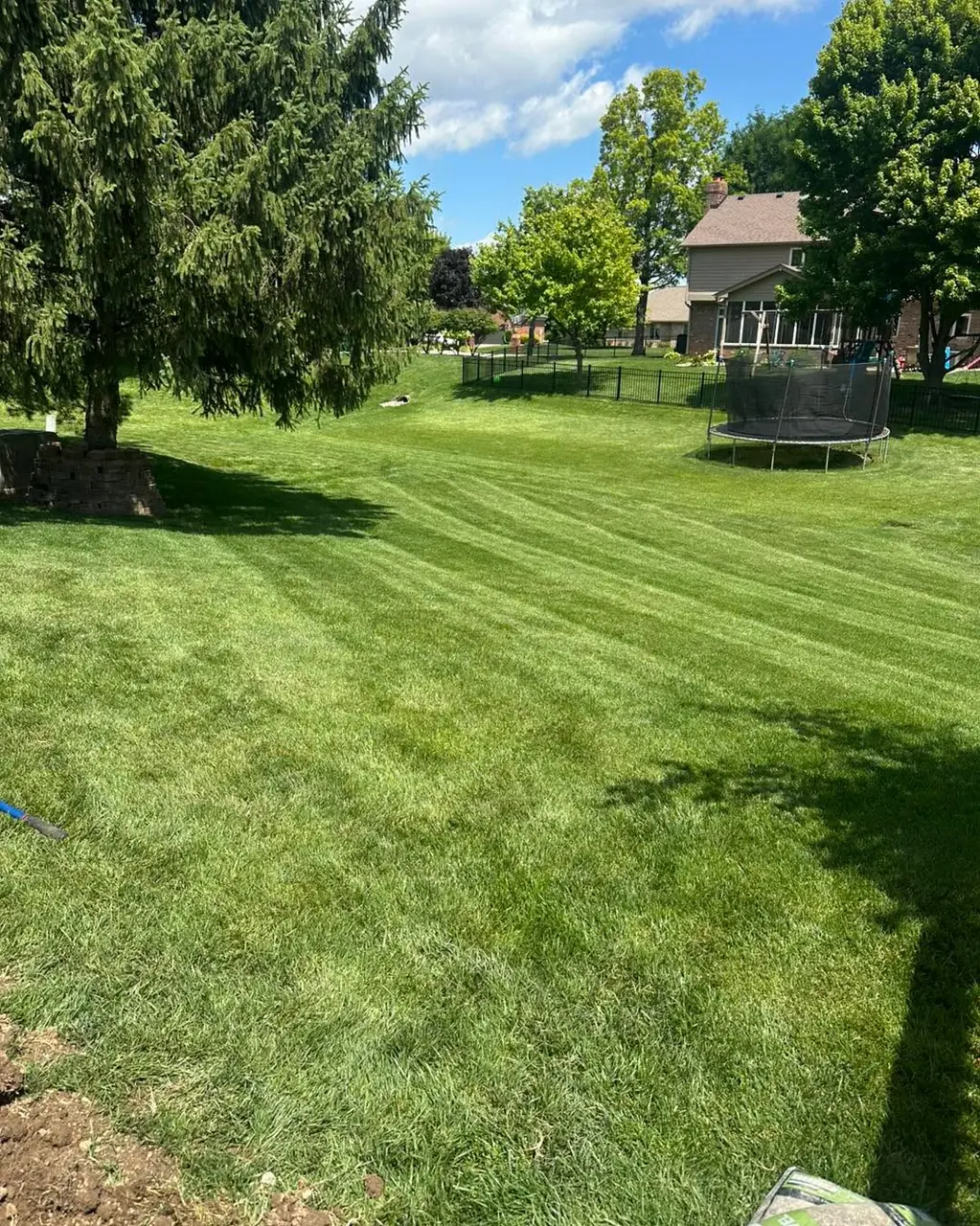 A large striped back lawn with a trampoline near the fence line and mature trees along the boundary